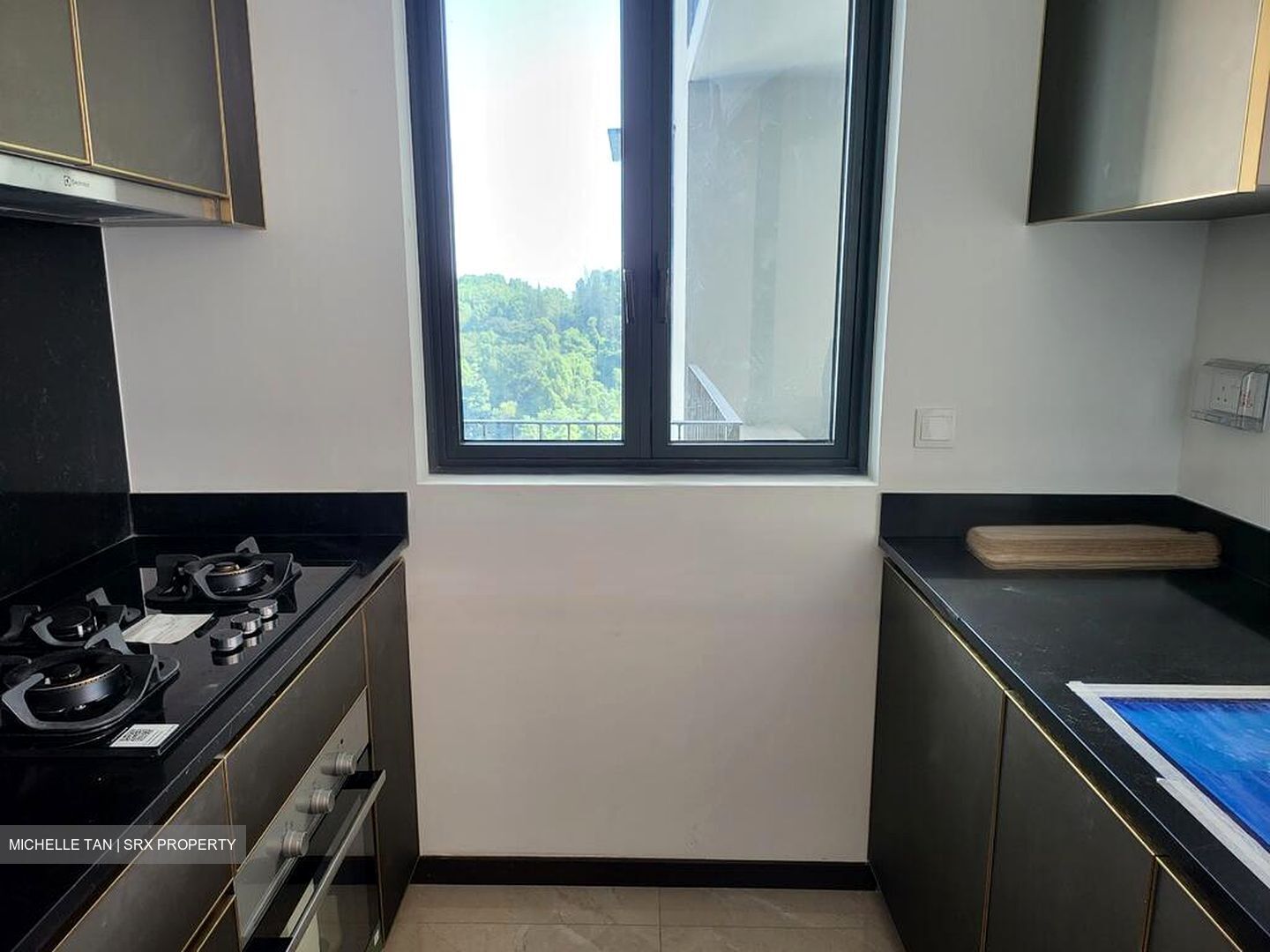 Normanton Park (D5), Apartment #482558511
